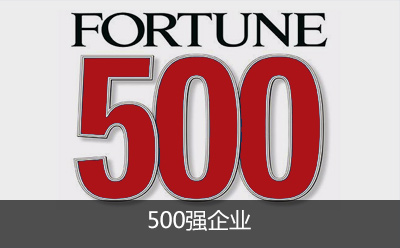 500强