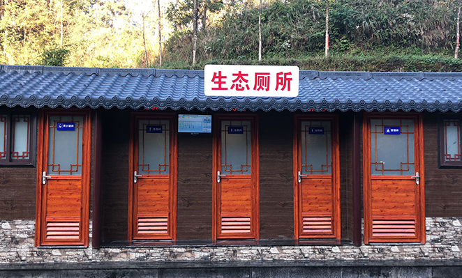 厕所革命