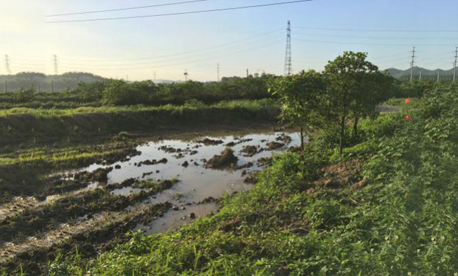 场地修复