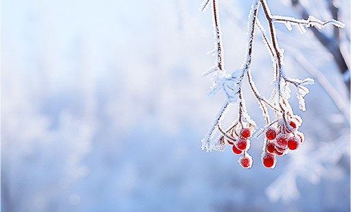 瑞雪兆丰年丨2024长沙初雪 航天凯天环保雪景图集